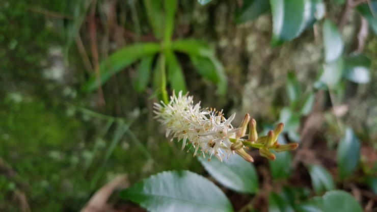 df4036346cb1f21b3b421b6fb07d2e48_1546828736_6671.jpg df4036346cb1f21b3b421b6fb07d2e48_1546828736_6671.jpg