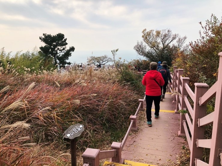 df4036346cb1f21b3b421b6fb07d2e48_1546838719_15.jpg df4036346cb1f21b3b421b6fb07d2e48_1546838719_15.jpg