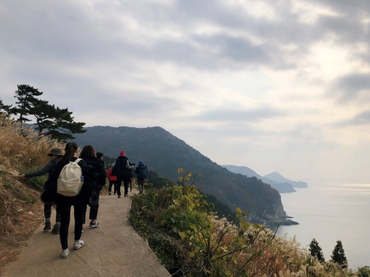 df4036346cb1f21b3b421b6fb07d2e48_1546838756_9761.jpg df4036346cb1f21b3b421b6fb07d2e48_1546838756_9761.jpg