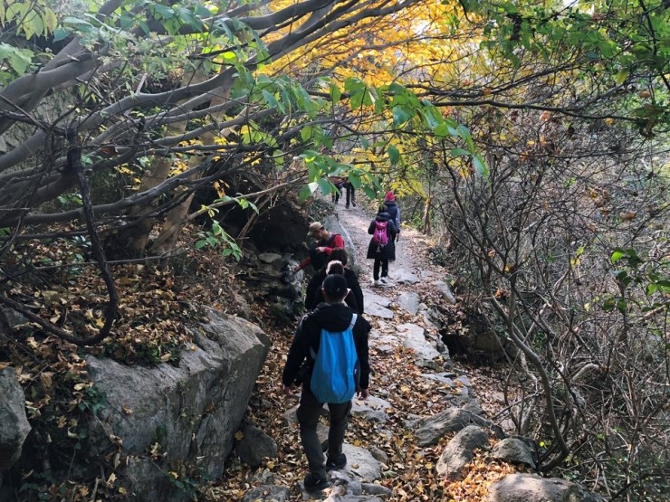 df4036346cb1f21b3b421b6fb07d2e48_1546838859_3544.jpg df4036346cb1f21b3b421b6fb07d2e48_1546838859_3544.jpg