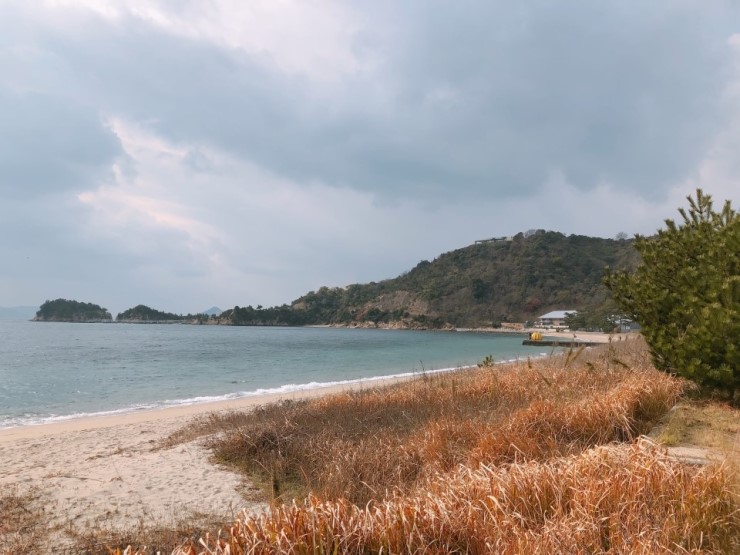 f38900f855b050144ddf3b85e5c567e8_1546911144_6899.jpg f38900f855b050144ddf3b85e5c567e8_1546911144_6899.jpg