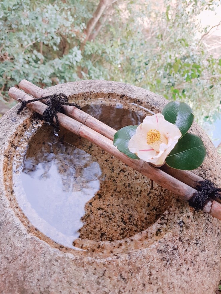 f38900f855b050144ddf3b85e5c567e8_1546914575_8423.jpg f38900f855b050144ddf3b85e5c567e8_1546914575_8423.jpg