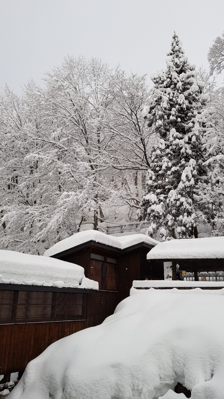 f38900f855b050144ddf3b85e5c567e8_1546923704_3227.jpg f38900f855b050144ddf3b85e5c567e8_1546923704_3227.jpg