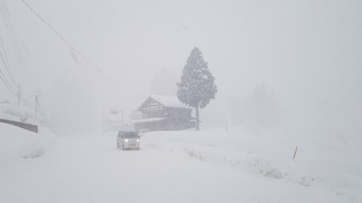 f38900f855b050144ddf3b85e5c567e8_1546923704_4671.jpg f38900f855b050144ddf3b85e5c567e8_1546923704_4671.jpg