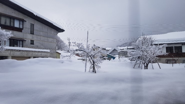 f38900f855b050144ddf3b85e5c567e8_1546923704_4925.jpg f38900f855b050144ddf3b85e5c567e8_1546923704_4925.jpg