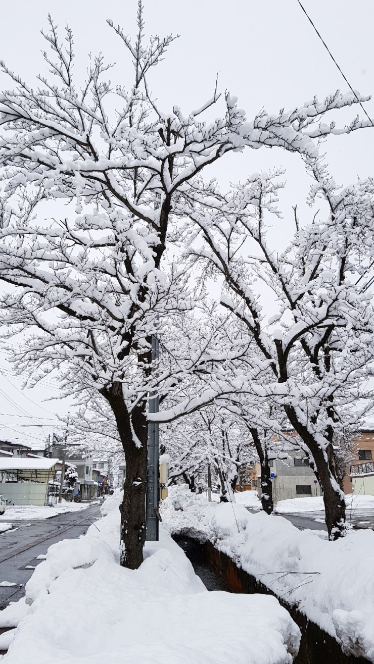 f38900f855b050144ddf3b85e5c567e8_1546923729_8405.jpg f38900f855b050144ddf3b85e5c567e8_1546923729_8405.jpg