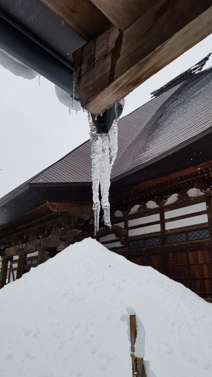 f38900f855b050144ddf3b85e5c567e8_1546923729_905.jpg f38900f855b050144ddf3b85e5c567e8_1546923729_905.jpg