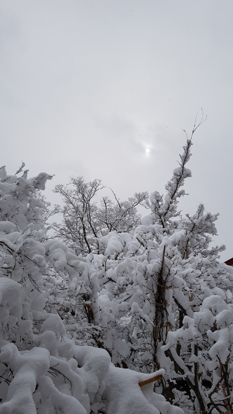 f38900f855b050144ddf3b85e5c567e8_1546923729_9677.jpg f38900f855b050144ddf3b85e5c567e8_1546923729_9677.jpg