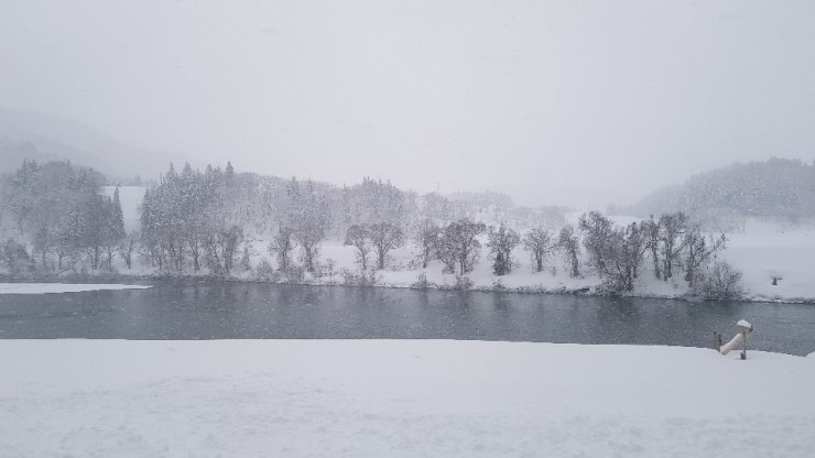 f38900f855b050144ddf3b85e5c567e8_1546923740_9292.jpg f38900f855b050144ddf3b85e5c567e8_1546923740_9292.jpg