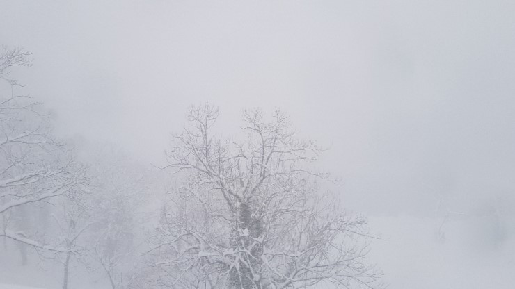 f38900f855b050144ddf3b85e5c567e8_1546923740_9743.jpg f38900f855b050144ddf3b85e5c567e8_1546923740_9743.jpg