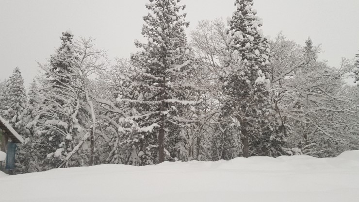 f38900f855b050144ddf3b85e5c567e8_1546923741_0937.jpg f38900f855b050144ddf3b85e5c567e8_1546923741_0937.jpg