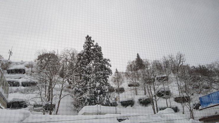 f38900f855b050144ddf3b85e5c567e8_1546924275_6881.jpg f38900f855b050144ddf3b85e5c567e8_1546924275_6881.jpg