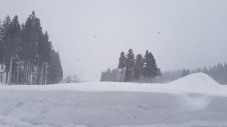 f38900f855b050144ddf3b85e5c567e8_1546924282_3275.jpg f38900f855b050144ddf3b85e5c567e8_1546924282_3275.jpg