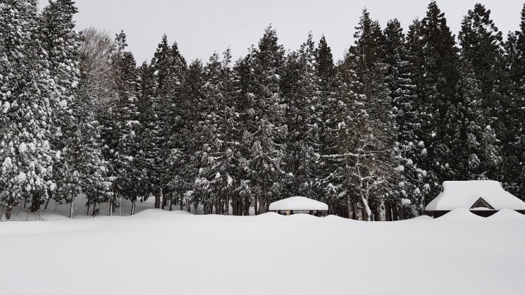 f38900f855b050144ddf3b85e5c567e8_1546924282_5078.jpg f38900f855b050144ddf3b85e5c567e8_1546924282_5078.jpg