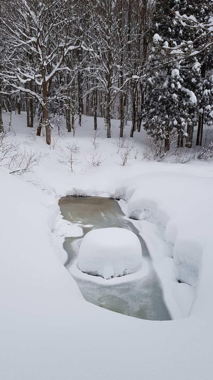 f38900f855b050144ddf3b85e5c567e8_1546924282_5486.jpg f38900f855b050144ddf3b85e5c567e8_1546924282_5486.jpg