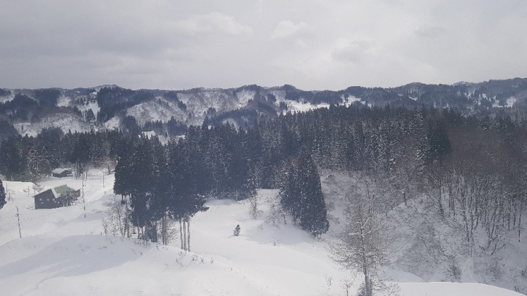 f38900f855b050144ddf3b85e5c567e8_1546924292_762.jpg f38900f855b050144ddf3b85e5c567e8_1546924292_762.jpg