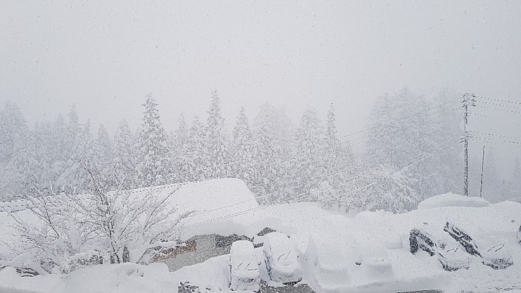 f38900f855b050144ddf3b85e5c567e8_1546927102_786.jpg f38900f855b050144ddf3b85e5c567e8_1546927102_786.jpg