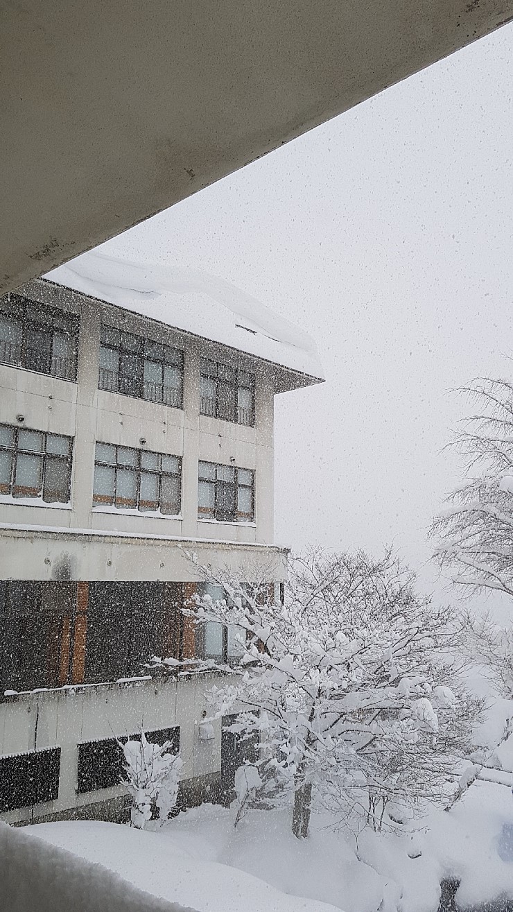 f38900f855b050144ddf3b85e5c567e8_1546927102_9321.jpg f38900f855b050144ddf3b85e5c567e8_1546927102_9321.jpg