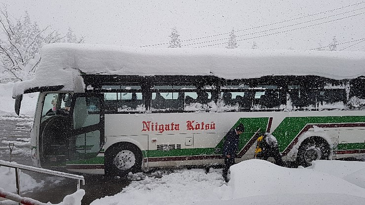 f38900f855b050144ddf3b85e5c567e8_1546927103_0609.jpg f38900f855b050144ddf3b85e5c567e8_1546927103_0609.jpg