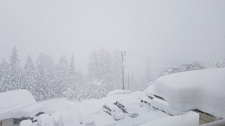 f38900f855b050144ddf3b85e5c567e8_1546927103_0881.jpg f38900f855b050144ddf3b85e5c567e8_1546927103_0881.jpg