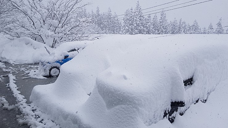 f38900f855b050144ddf3b85e5c567e8_1546927103_1244.jpg f38900f855b050144ddf3b85e5c567e8_1546927103_1244.jpg