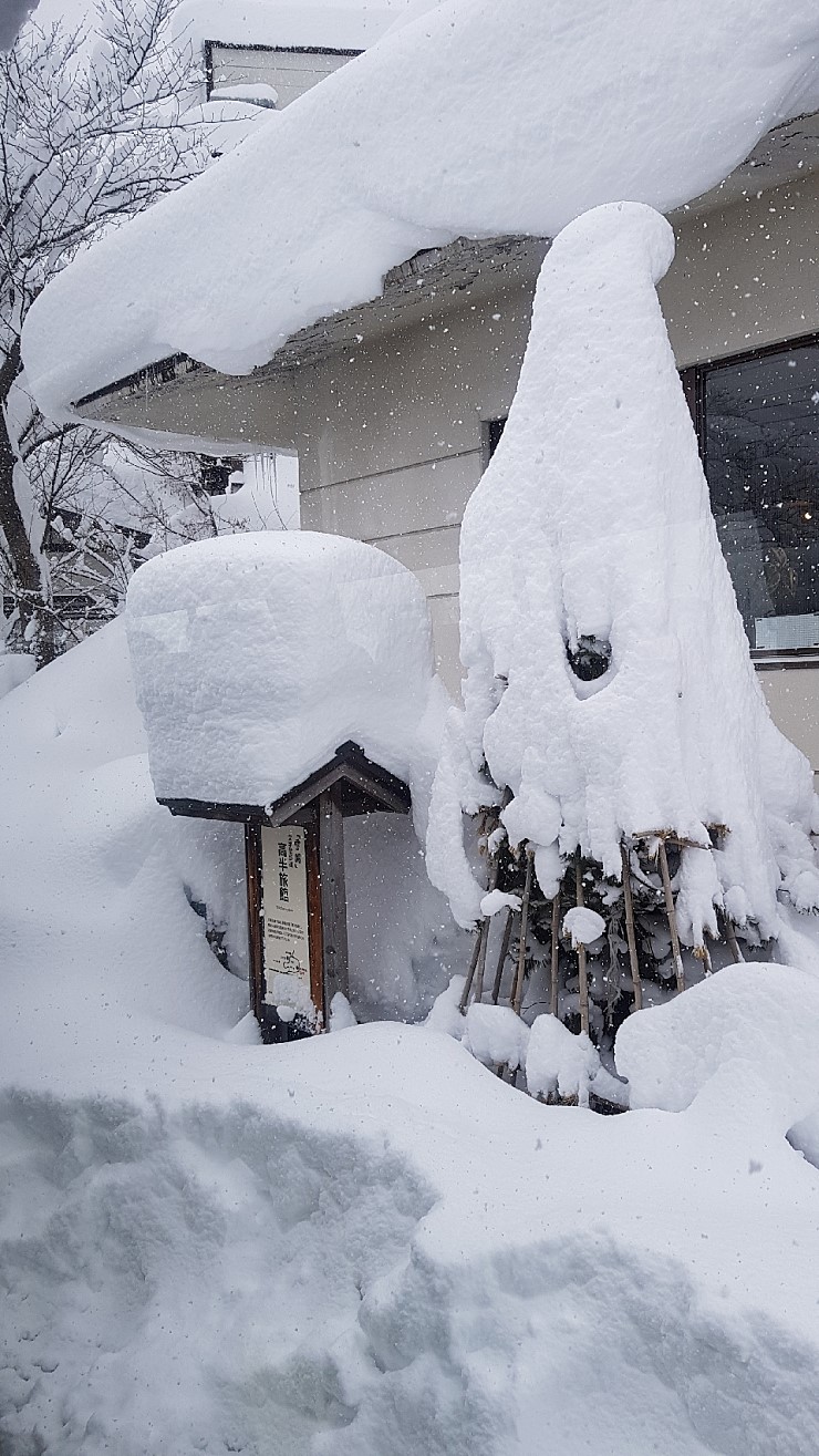 f38900f855b050144ddf3b85e5c567e8_1546927112_2026.jpg f38900f855b050144ddf3b85e5c567e8_1546927112_2026.jpg