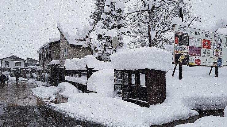 f38900f855b050144ddf3b85e5c567e8_1546927112_2424.jpg f38900f855b050144ddf3b85e5c567e8_1546927112_2424.jpg