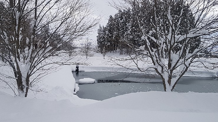 f38900f855b050144ddf3b85e5c567e8_1546927112_3792.jpg f38900f855b050144ddf3b85e5c567e8_1546927112_3792.jpg