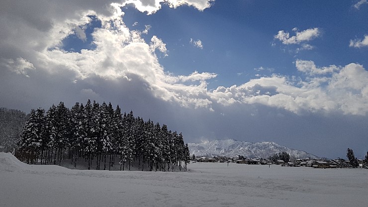 f38900f855b050144ddf3b85e5c567e8_1546927112_4555.jpg f38900f855b050144ddf3b85e5c567e8_1546927112_4555.jpg