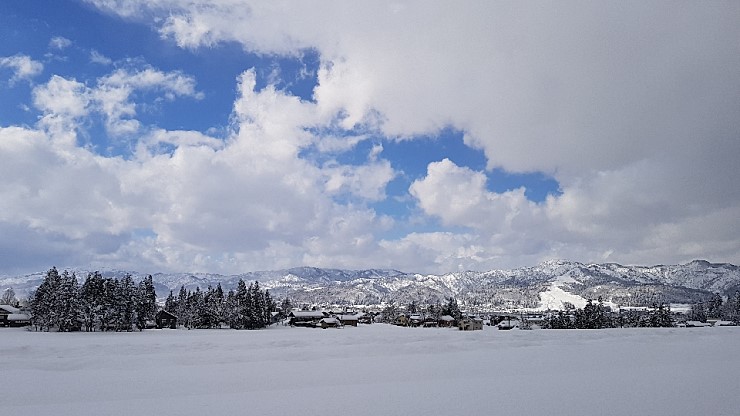 f38900f855b050144ddf3b85e5c567e8_1546927119_8626.jpg f38900f855b050144ddf3b85e5c567e8_1546927119_8626.jpg