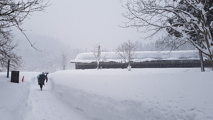 f38900f855b050144ddf3b85e5c567e8_1546927120_046.jpg f38900f855b050144ddf3b85e5c567e8_1546927120_046.jpg