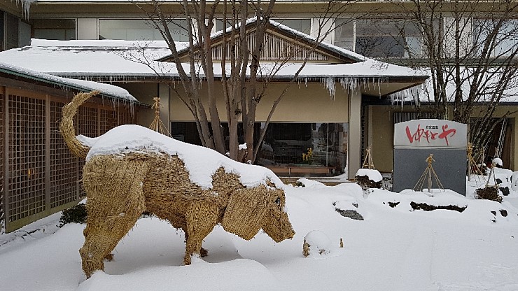 f38900f855b050144ddf3b85e5c567e8_1546927130_9832.jpg f38900f855b050144ddf3b85e5c567e8_1546927130_9832.jpg