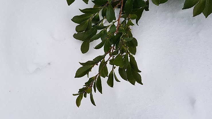 f38900f855b050144ddf3b85e5c567e8_1546927147_0179.jpg f38900f855b050144ddf3b85e5c567e8_1546927147_0179.jpg