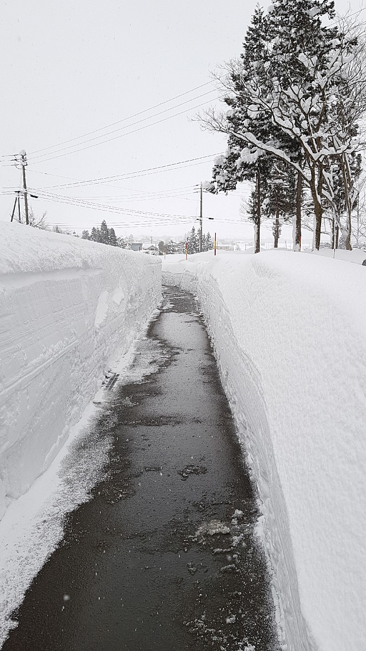 f38900f855b050144ddf3b85e5c567e8_1546927147_2643.jpg f38900f855b050144ddf3b85e5c567e8_1546927147_2643.jpg