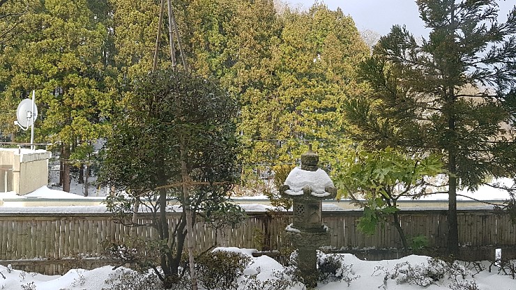 f38900f855b050144ddf3b85e5c567e8_1546927147_5101.jpg f38900f855b050144ddf3b85e5c567e8_1546927147_5101.jpg