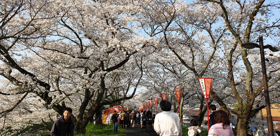 b9cfd0d4891b4d9c733a2d24b97d4ce1_1555289530_745.jpg b9cfd0d4891b4d9c733a2d24b97d4ce1_1555289530_745.jpg