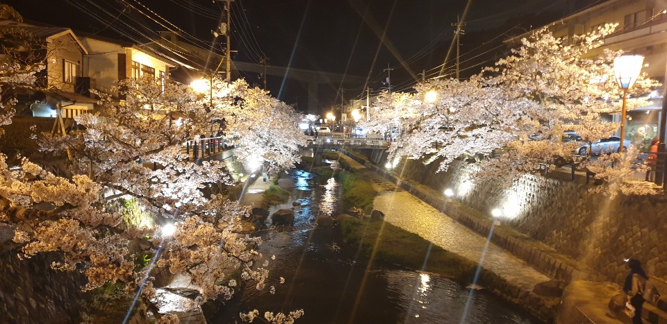 b9cfd0d4891b4d9c733a2d24b97d4ce1_1555289797_7739.jpg b9cfd0d4891b4d9c733a2d24b97d4ce1_1555289797_7739.jpg