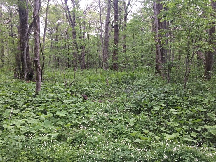 5d1c0c9ab0f8468a48cdb1c6f12f8ec5_1565245397_967.jpg 5d1c0c9ab0f8468a48cdb1c6f12f8ec5_1565245397_967.jpg