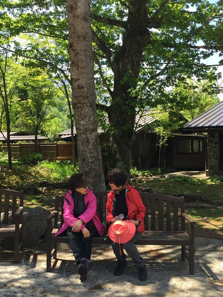 5d1c0c9ab0f8468a48cdb1c6f12f8ec5_1565245439_1227.jpg 5d1c0c9ab0f8468a48cdb1c6f12f8ec5_1565245439_1227.jpg