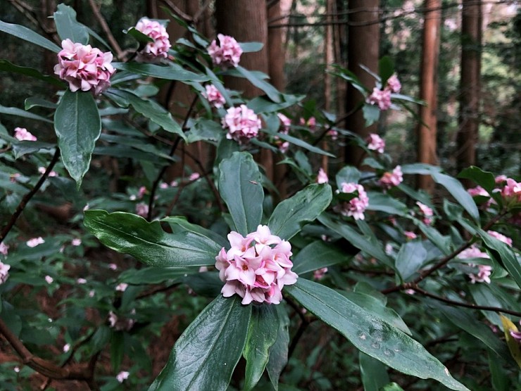 139e4ce4b71ba7d9c4ea0499043af10a_1584325779_8727.jpg 139e4ce4b71ba7d9c4ea0499043af10a_1584325779_8727.jpg