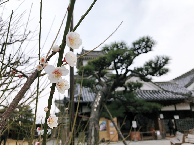 139e4ce4b71ba7d9c4ea0499043af10a_1584325792_234.jpg 139e4ce4b71ba7d9c4ea0499043af10a_1584325792_234.jpg