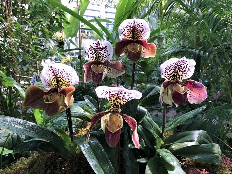 139e4ce4b71ba7d9c4ea0499043af10a_1584325802_0663.jpg 139e4ce4b71ba7d9c4ea0499043af10a_1584325802_0663.jpg