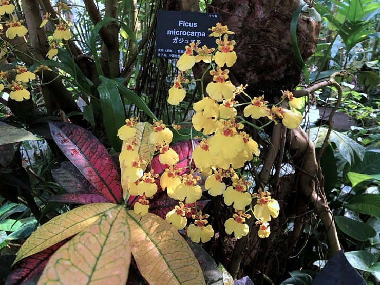 139e4ce4b71ba7d9c4ea0499043af10a_1584325802_2035.jpg 139e4ce4b71ba7d9c4ea0499043af10a_1584325802_2035.jpg