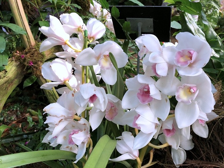 139e4ce4b71ba7d9c4ea0499043af10a_1584325802_3168.jpg 139e4ce4b71ba7d9c4ea0499043af10a_1584325802_3168.jpg