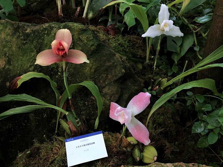 139e4ce4b71ba7d9c4ea0499043af10a_1584325802_44.jpg 139e4ce4b71ba7d9c4ea0499043af10a_1584325802_44.jpg