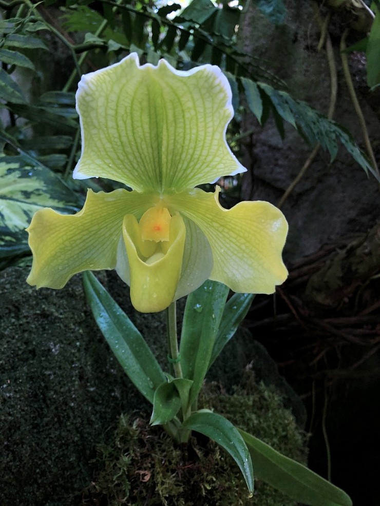 139e4ce4b71ba7d9c4ea0499043af10a_1584325802_5799.jpg 139e4ce4b71ba7d9c4ea0499043af10a_1584325802_5799.jpg