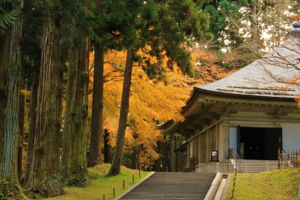 064336e3173b9dc0d584e2ecdd8311e3_1687143470_5927.jpg 064336e3173b9dc0d584e2ecdd8311e3_1687143470_5927.jpg