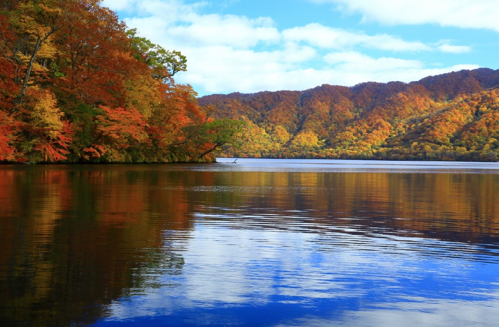 064336e3173b9dc0d584e2ecdd8311e3_1687143642_7515.jpg 064336e3173b9dc0d584e2ecdd8311e3_1687143642_7515.jpg