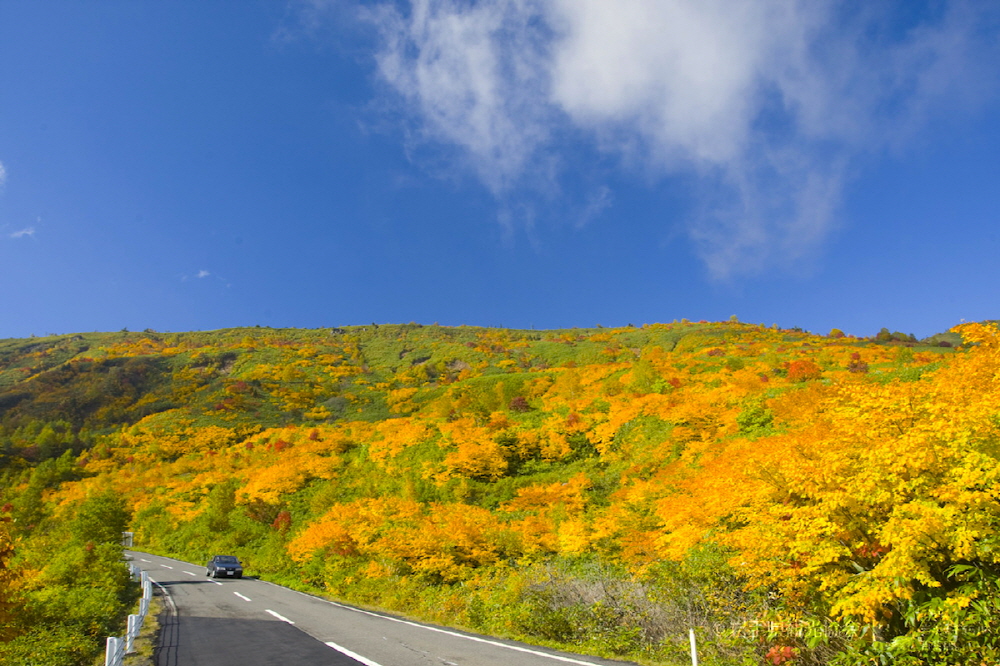 064336e3173b9dc0d584e2ecdd8311e3_1687143701_0935.jpg 064336e3173b9dc0d584e2ecdd8311e3_1687143701_0935.jpg