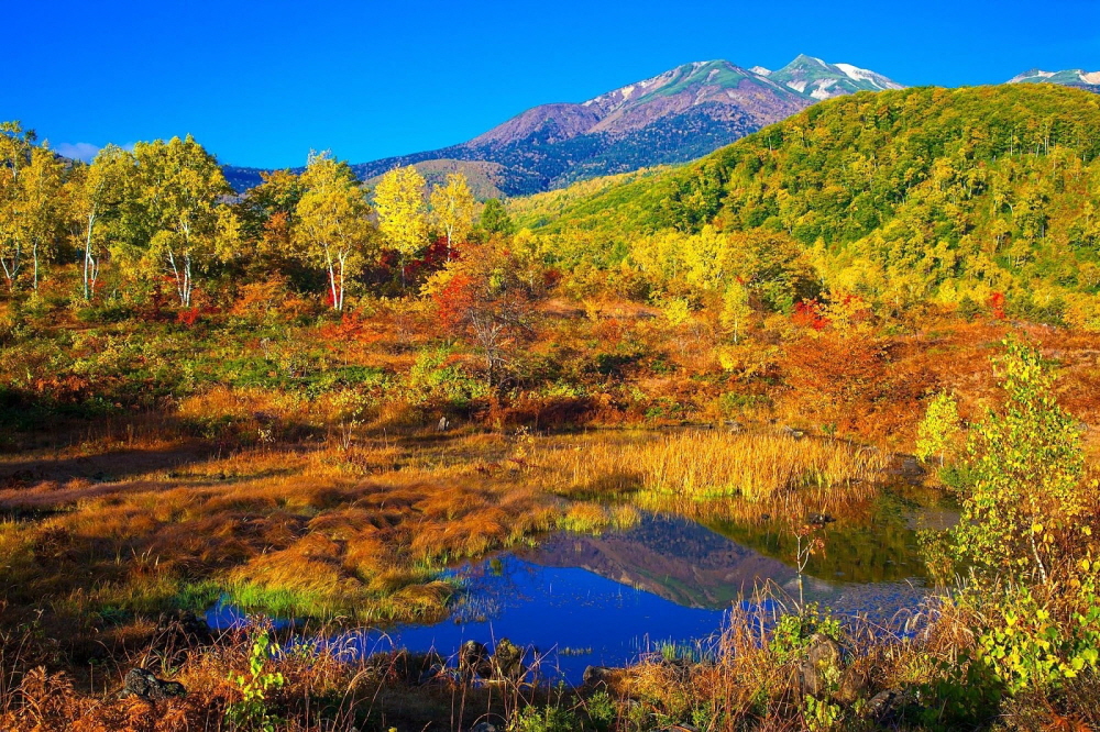 fdf2f93204628806f24ae82e20b32090_1686711151_8846.jpg fdf2f93204628806f24ae82e20b32090_1686711151_8846.jpg